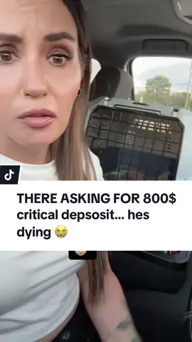 Please watch twice! Idk what to do 😭 #kitten #cat 