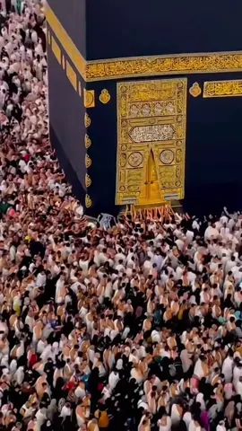 #fyp #fouryou  #tikt