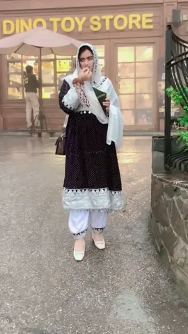 Video 3