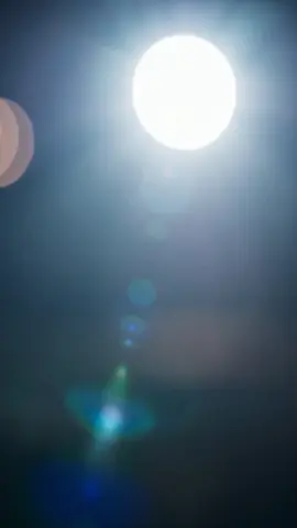 Video 2