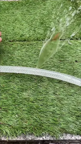 Video 2