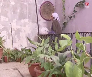 Video 1