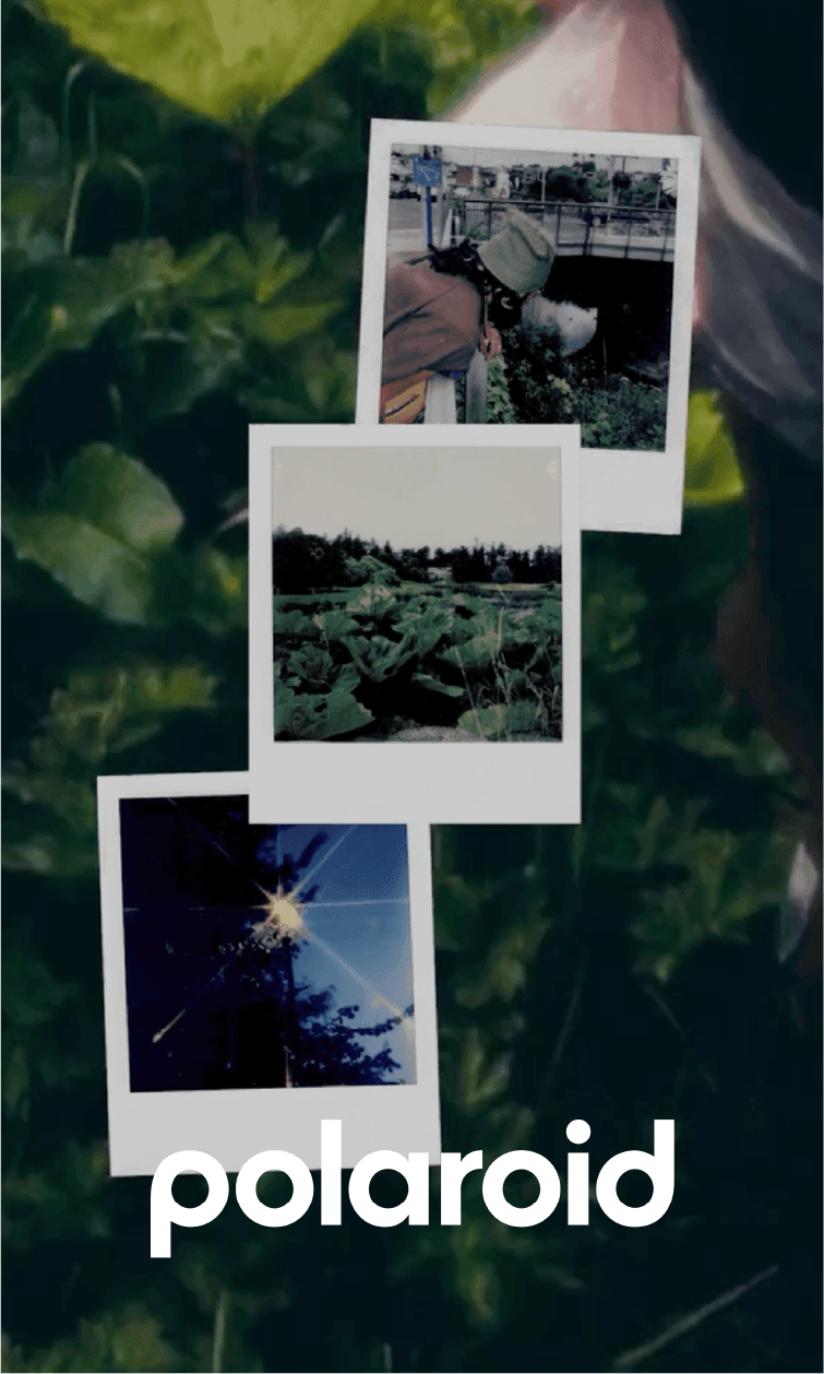 Polaroid campaign